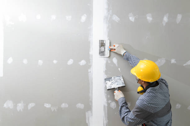 Professional Drywall & Painting Services in Laguna Hills, CA